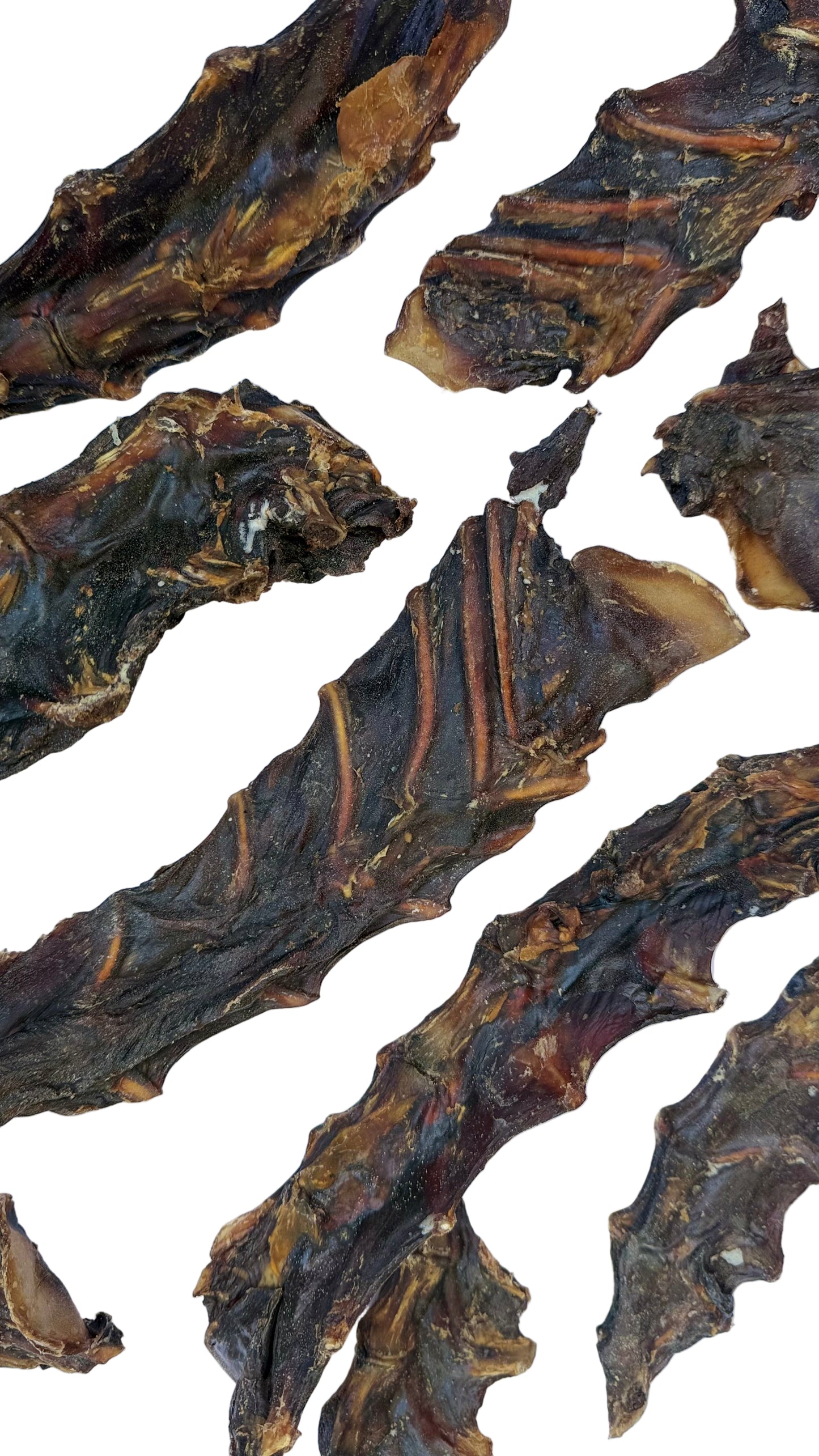 Kangaroo Sternum Dog Treat