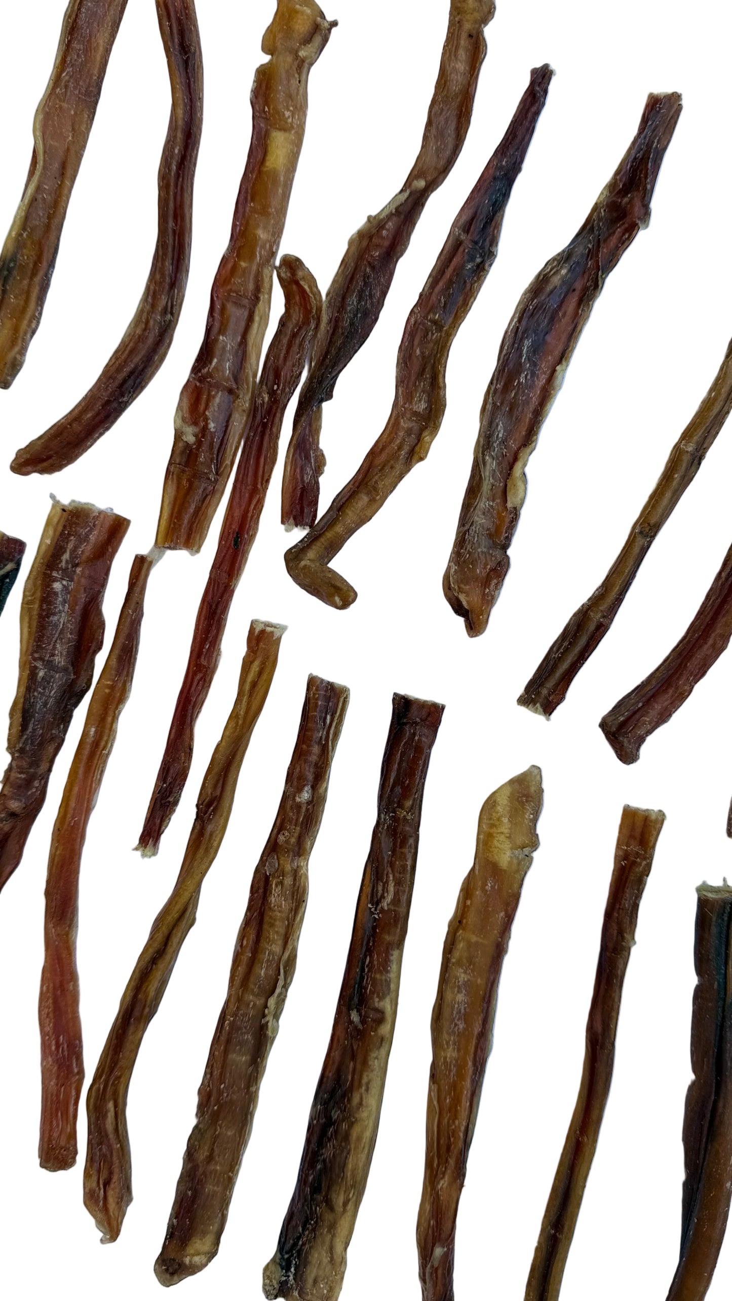 Steer Pizzle Sticks Dog Treat