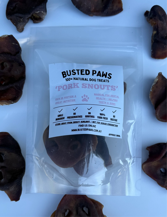 Pork Snout Dog Treats