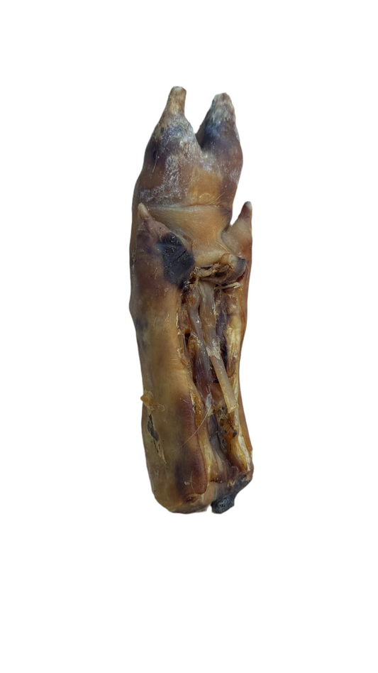 Large Pigs Trotter / Foot