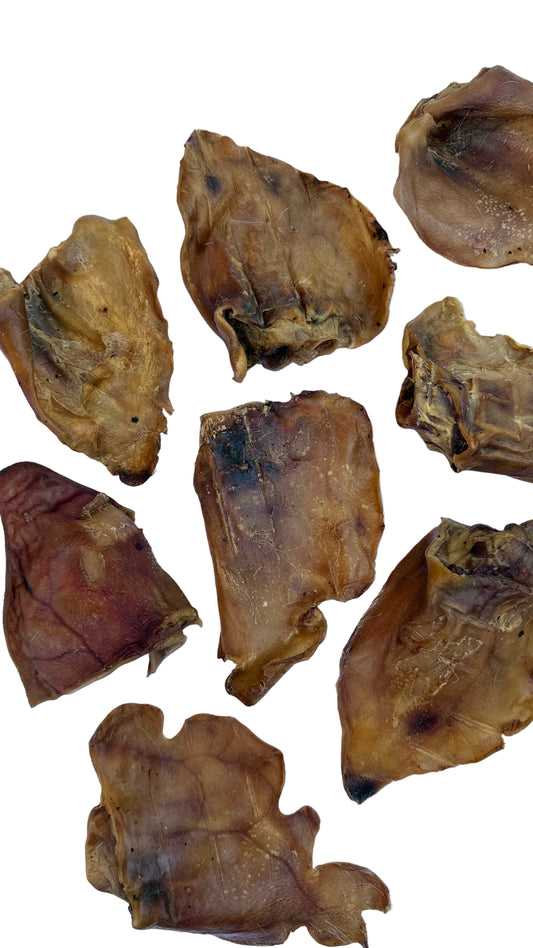 Pigs Ear Dog Treat