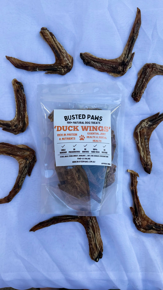 Duck Wings Dog Treats