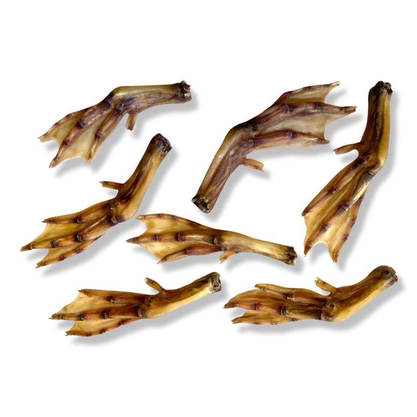 Duck Feet
