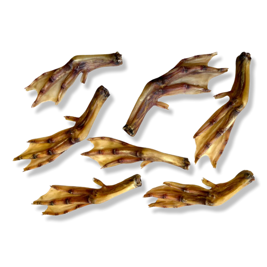 Duck Feet