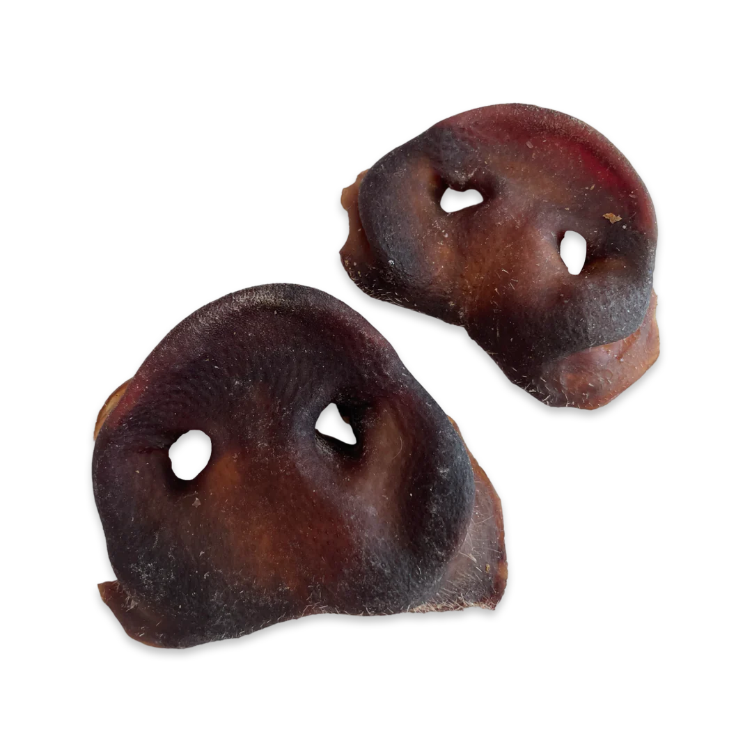 Pork Snouts